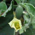 Picasa 2.7